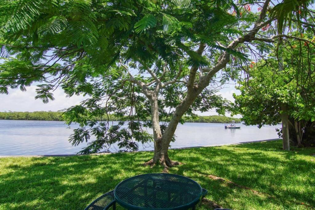 River Delight,Studio109, Beach & Pool Steps Away + Wifi ラスキン エクステリア 写真